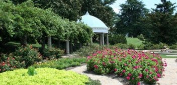 Comment choisir une haie pour votre jardin ?