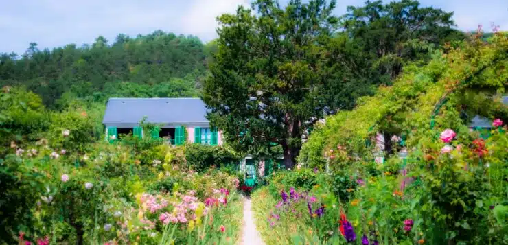 Chemin fleuri sous le soleil