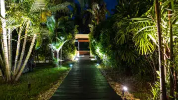Comment faire un jardin connecté ?