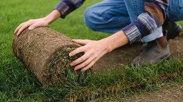 Les astuces pour faire pousser correctement sa pelouse