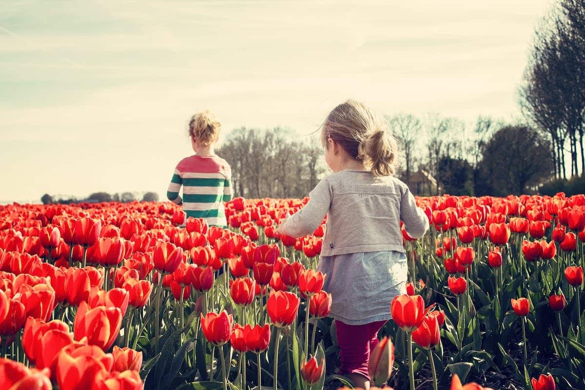 jardin enfants