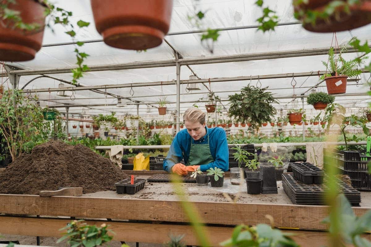 jardinage écologique