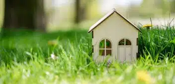 Conseils pratiques pour un gazon écologique parfaitement entretenu