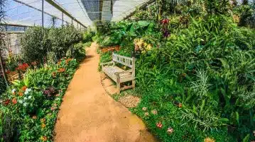 Les critères essentiels pour sélectionner la serre de jardin idéale