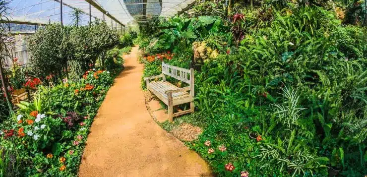 Les critères essentiels pour sélectionner la serre de jardin idéale