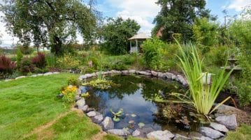 Comment aménager le bassin de jardin ? Comment aménager le bassin de jardin