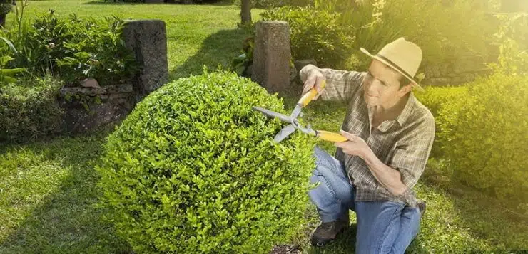 Comment trouver facilement un paysagiste près de chez vous