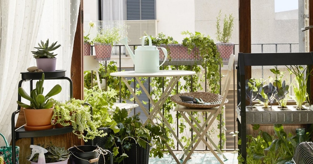 astuces pour végétaliser un balcon