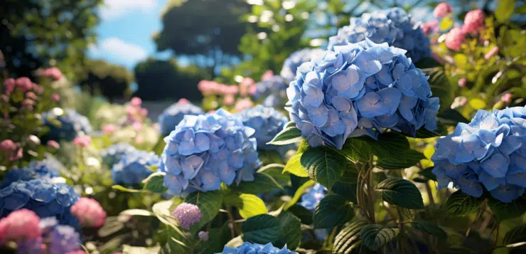 Arbustes et plantes à fleurs bleues : embellissez votre jardin