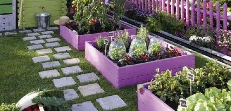 comment gérer et organiser votre jardin cet été