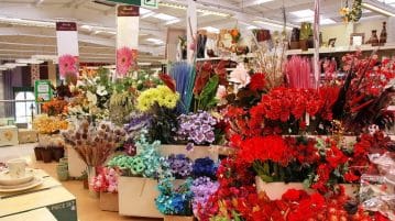 Acheter des fleurs bio équitables : est-ce possible ?