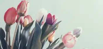 Les différentes occasions d’offrir un bouquet de fleurs