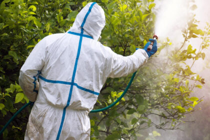 Insectes nuisibles au jardin en Savoie : à quel moment, le jardinier doit passer la main ?
