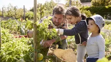 avantages des jardins communautaires