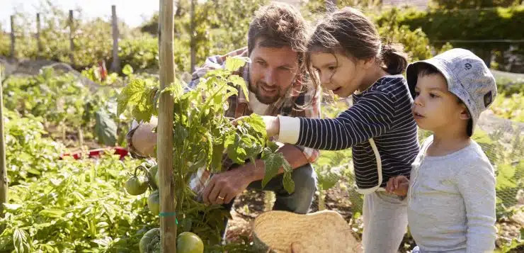 avantages des jardins communautaires