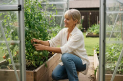 Femme d'âge moyen dans une serre s'occupant de tomates vertes