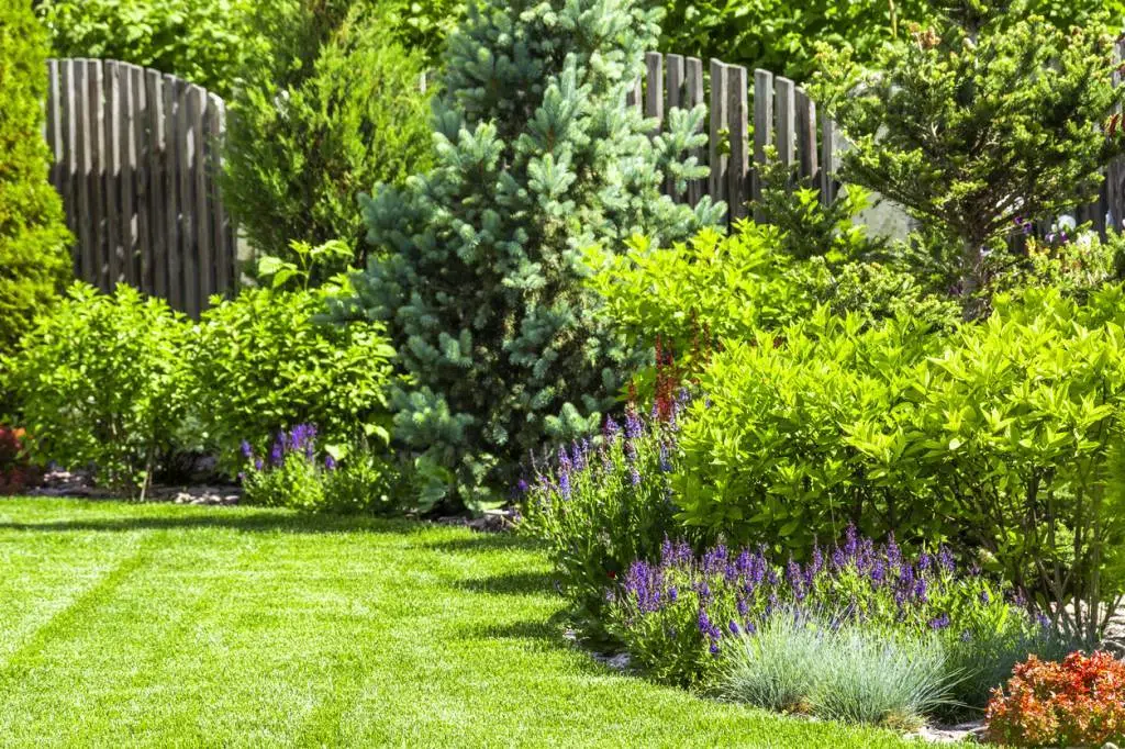 beau jardin gazon synthétique