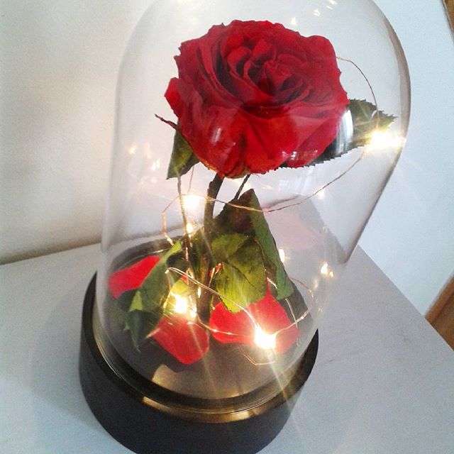 Offrir des roses éternelles symbole d'un amour sans fin Offrir des roses éternelles symbole d'un amour sans fin