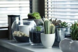 Tout savoir sur la culture hydroponique pour les jardiniers d'intérieur