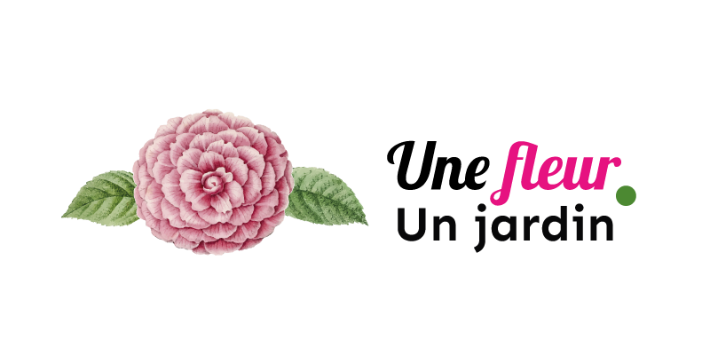 Une Fleur Un Jardin