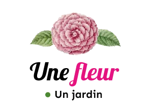 Une Fleur Un Jardin