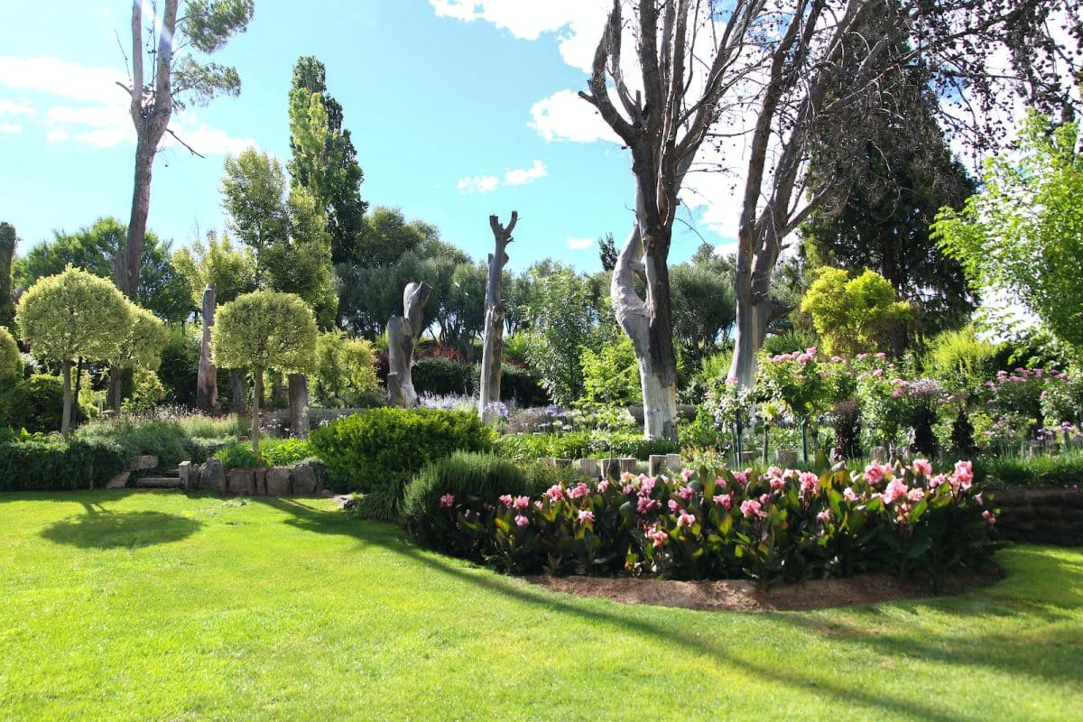 Les dernières tendances en matière de jardinage à découvrir 