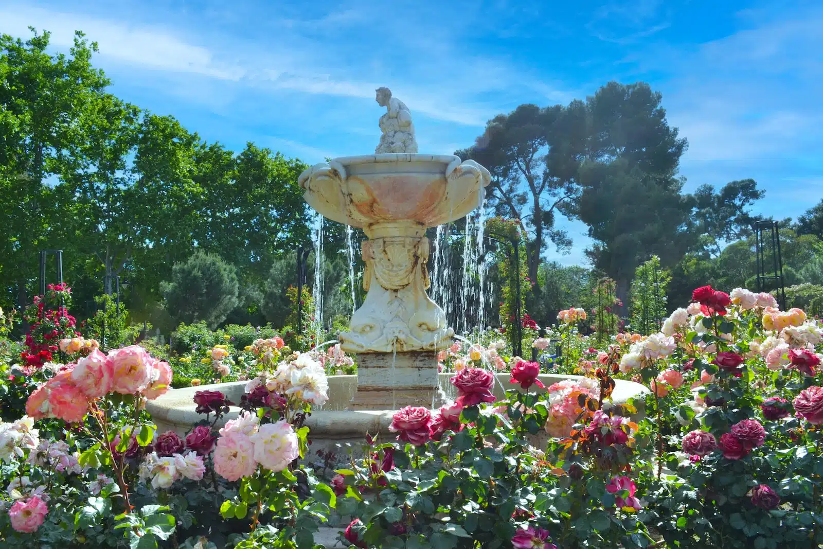 Aménager son jardin : quelques conseils pour toute l'année