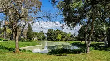 green grass field with trees and river in distance